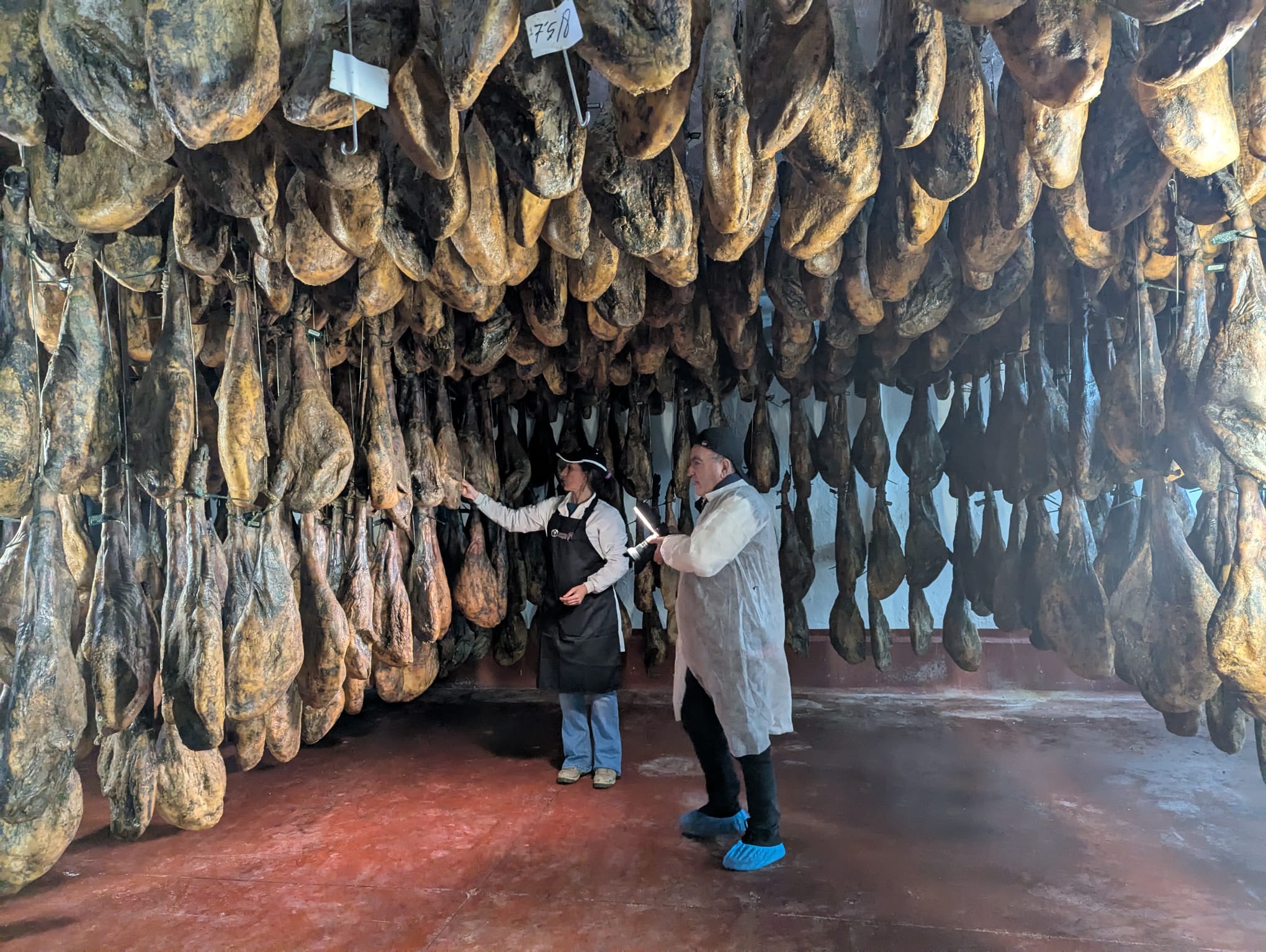 Ruta del Jamón Ibérico en Aracena - foto 3