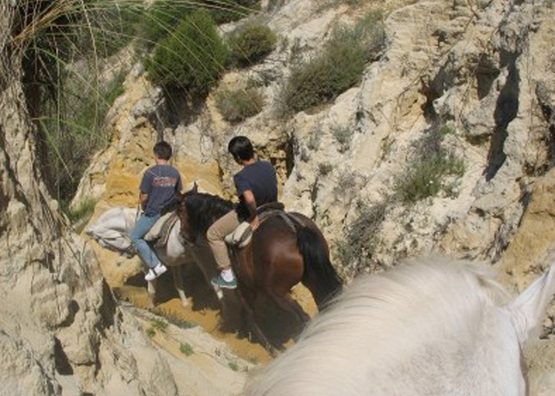 DOÑANA-ARACENA-AVENTURA S. L. - foto 3