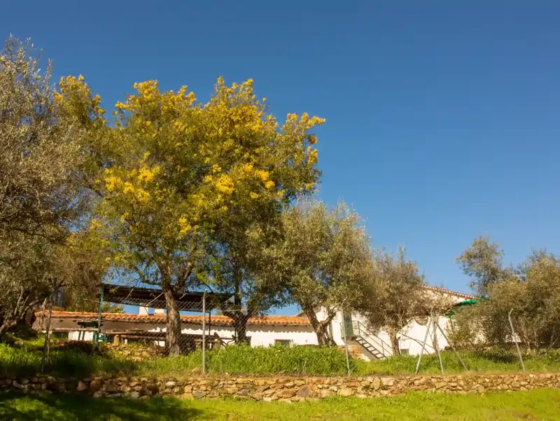 CASA RURAL HUEZNA - foto 1